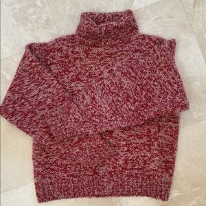 Wool Turtleneck